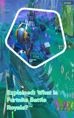 Fortnite game play