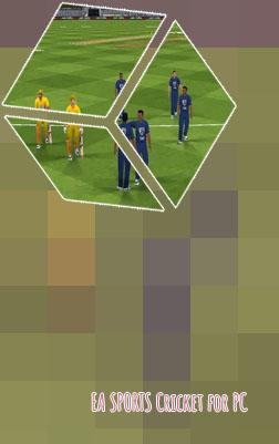 Ipl game for pc